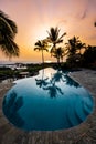 Clear Blue Infinity Pool at sunset with palm tree silhouette in Hawaii Royalty Free Stock Photo