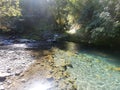 Clear blue river water. Green forest Royalty Free Stock Photo