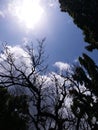 Clear blue skies & clouds Royalty Free Stock Photo