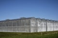 Greenhouses in Groningen