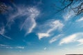 A clear blue sky backgrounds with clouds and tree branches Royalty Free Stock Photo