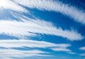 A clear blue sky is filled with long, thin cirrus clouds. The white Royalty Free Stock Photo