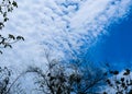 Clear Blue Sky Looks Beautiful Among Trees. Entertainment Going To Cristal Clear Due To Low Pollution For Corona Lockdown Period.