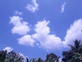 clear blue sky, spread out white clouds and plus some green leafy plants Royalty Free Stock Photo