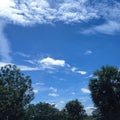 Clear blue sky in summer Royalty Free Stock Photo
