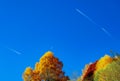 clear blue sky with three planes and the moon