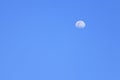 Clear blue sky which has half moon & x28;can used as background& x29; Royalty Free Stock Photo