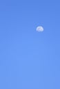 Clear blue sky which has half moon & x28;can used as background& x29; Royalty Free Stock Photo