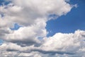 The clear blue sky with white clouds, closeup / Very fine weather with stratocumulus and cumulus clouds on a summer day. Royalty Free Stock Photo