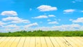 clear blue sky and wood floor, background Royalty Free Stock Photo