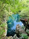 Clear blue spring waters in lush forest, Orange Grove Sink, Wes Skiles Peacock Springs State Park, Florida Royalty Free Stock Photo