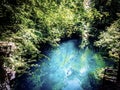 Clear blue spring waters in lush forest, Orange Grove Sink, Wes Skiles Peacock Springs State Park, Florida Royalty Free Stock Photo