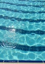 Clear blue swimming pool with sunlight creating dynamic reflections on the water\'s Royalty Free Stock Photo