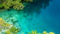 Clear Blue Water and Coral in Mangrove near Warikaf Homestay, Kabui Bay, Passage. Gam Island, West Papuan, Raja Ampat