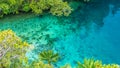 Clear Blue Water and Coral in Mangrove near Warikaf Homestay, Kabui Bay, Passage. Gam Island, West Papuan, Raja Ampat