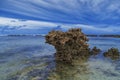 Clear blue water with corals and beautiful sky at beach for surfers Cloud9, Siargao Island, the Philippines. Royalty Free Stock Photo