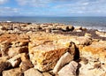 Spencer Gulf view at Point Lowly