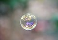 Clear bubble with forest reflections in it Royalty Free Stock Photo