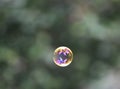 Clear bubble with forest reflections in it Royalty Free Stock Photo