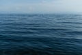 Clear calm dark blue water surface of lake baikal, morning ripples Royalty Free Stock Photo