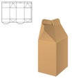 Clear Carton Box