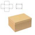 Clear Carton Box