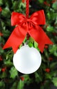 Clear Christmas ornament hanging from shiny red ribbon and bow with bright green mistletoe. Empty space in bauble for text or Royalty Free Stock Photo