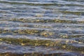 Clear coastal sea water on a sunny day