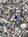 Lake Michigan beach glass