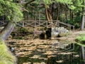 Clear Creek State Park in Pennsylvania in the fall with fallen leaves in the water and a bridge and the forest in the background Royalty Free Stock Photo