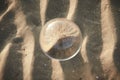 Clear crystal ball are sphere reveals seascape view with spherical placed on the sand beach during sunset. Royalty Free Stock Photo