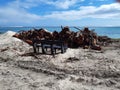 Clear cut of trees located on a beach, large stack of timbers placed in front of a bench to block a beautiful sea view.