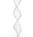 Clear DNA Strand Royalty Free Stock Photo