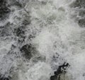 The clear foam of river water covered most of the large rock