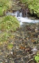 Clear fresh mountain water over stones