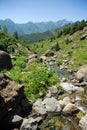 Clear and fresh waters flowing in alpine torrents of Aosta valley, Italy Royalty Free Stock Photo