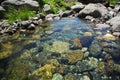 Clear and fresh waters flowing in alpine torrents of Aosta valley, Italy Royalty Free Stock Photo