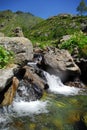 Clear and fresh waters flowing in alpine torrents of Aosta valley, Italy Royalty Free Stock Photo