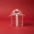 Clear Gift Box with Bow and Flowers Royalty Free Stock Photo
