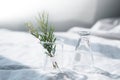 Beaker and flask with herbal plant on white fabric with window natural light for cosmetic science research background Royalty Free Stock Photo