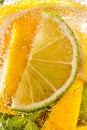 In a clear glass mint leaf, slices of lime and lemon with bubbles. Macro photo of summer drink mojito Royalty Free Stock Photo