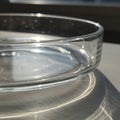 A clear glass Petri dish rests on a white surface, casting intricate reflections and Royalty Free Stock Photo
