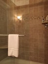 Clear Glass Shower With Neutral Earth Toned Tile