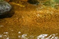 Clear Golden River Water Ripples Above Sand