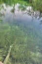 Clear Green Lake Reflecton Royalty Free Stock Photo