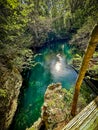 Clear greenish teal spring waters in lush forest, Orange Grove Sink, Wes Skiles Peacock Springs State Park, Florida Royalty Free Stock Photo