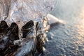 Clear ice icicle close-up sparkling on frozen lake Royalty Free Stock Photo