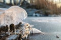 Clear ice icicle close-up sparkling on frozen lake Royalty Free Stock Photo