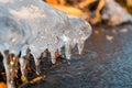 Clear ice icicle close-up sparkling on frozen lake Royalty Free Stock Photo