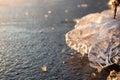 Clear ice icicle close-up sparkling on frozen lake Royalty Free Stock Photo